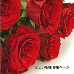 ほしいも様【ご専用ページ】花材MIXセット ドライフラワー①