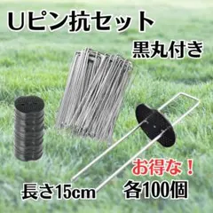 Item thumbnail for item d1d30942-c039-4b59-bb23-a1e1632dd2dc