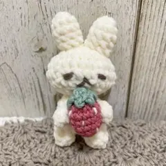 ＊もちもちうさぎとイチゴのあみぐるみキーホルダー＊