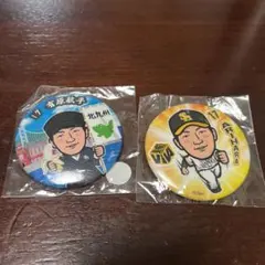 Item thumbnail for item 311a6bd6-afb8-49b3-9dad-e09f94268e21