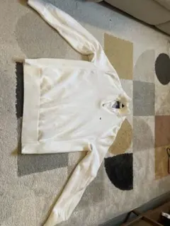 Item thumbnail for item 5353f72c-84d1-4160-8344-ef02beb49d1f