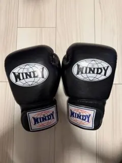 2025年最新】WinDy ボクシンググローブの人気アイテム - メルカリ