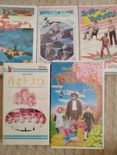 [値下げ中]希少品  南部の唄 VHS Song of the South Memorabilia: 南部の唄 (Nanbu No Uta) (1992)
