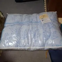 Item thumbnail for item 6c16039b-5be1-46d0-bc4e-cf734d572017