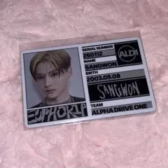 ALD1 サンウォン IDカード EUPHORIA トレカ