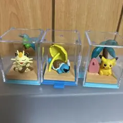 (*)様 ポケモン カプセルトイセット