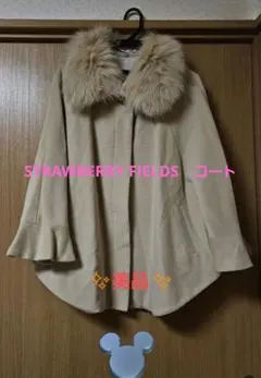 JILL STUART リアルフォックスファー　ピーコート　Pコート JILL STUART リアルフォックスファー ピーコート Pコート - メルカリ