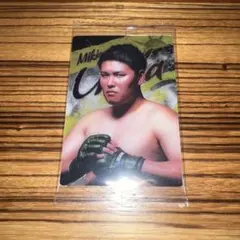 Item thumbnail for item f666c251-922a-41d2-9fe9-23afa6b85447