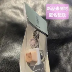 ファンミニョン ペンミ 特典 キーリング