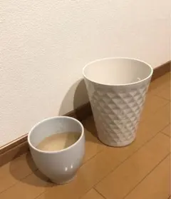 J植木鉢 2個セット 陶器製 胡蝶蘭 - メルカリ