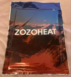 ZOZOHEAT ゾゾヒート　長袖バレエネック アイボリー 38