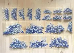 Item thumbnail for item 68fe69be-f8a0-46b0-8bdf-5d5f84be3011