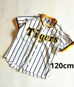 Item thumbnail for item 5ad07014-0ea7-40e2-a8d5-f97d7043a0eb