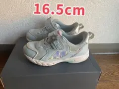 スニーカー　16センチ　エルサ