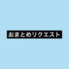 ルル様 リクエスト 2点 まとめ商品