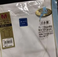 Item thumbnail for item 626ae32e-8e53-4e17-a700-eb5d80c5f884