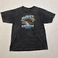 ハーレーダビッドソン USA イーグル 鬼フェード バクプリ Tシャツ XL