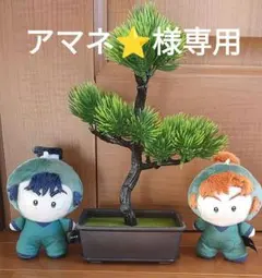 ✨アマネ⭐️様専用✨