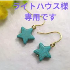 ライトハウス様 リクエスト 4点 まとめ商品