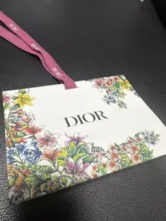 Dior ショップ袋　ショッパー　限定デザイン