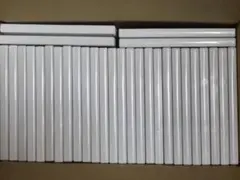 DVDトールケース 白 (1枚収納) 30枚 (美品です)