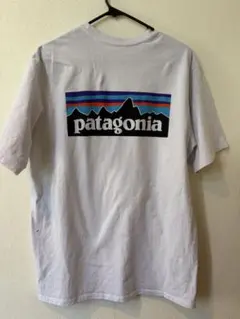 patagonia ホワイト Tシャツ Sサイズ