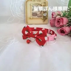 いちご柄(赤)わんちゃん猫ちゃん用首輪