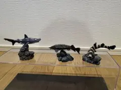 サメ フィギュア3個セット