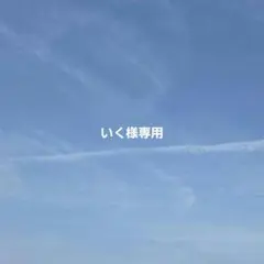 いく様専用