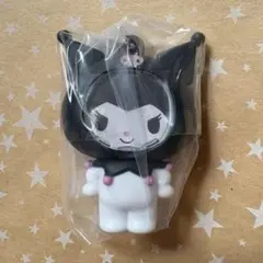 サンリオキャラクターズ　フォトフレームマスコット　クロミ　ガチャ　②