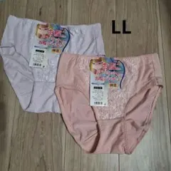 お腹スッキリショーツ パワーネット2枚セット LL 綿混 ストレッチ　レースのサムネイル