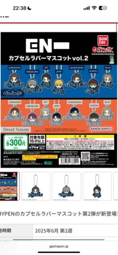 ENHYPEN ラバーマスコットvol2 SUNGHOON