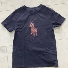 ポロ　馬　うま　ホース