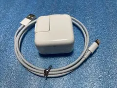 Apple 10W USB Powerアダプタとケーブルセット
