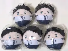 ハイキュー!! 赤葦 ふわコロりん 5点セット