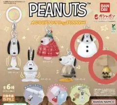 PEANUTS めじるしアクセサリー スヌーピーE チャーリーブラウン