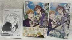 勘違い結婚 偽りの花嫁のはずが、なぜか竜王陛下に溺愛されてます!? 2巻