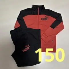 PUMA ジャージ 上下セット 150cm