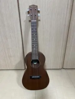 Item thumbnail for item a7184c7f-7dc5-4ca3-b04f-c2fe3627ba47