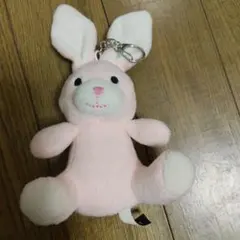 スロウダメージ スロウ・ダメージ スロダメ うさぎのぬいぐるみ - メルカリ