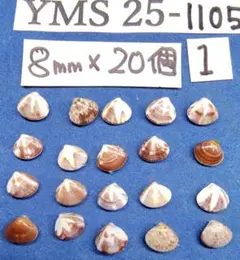 Item thumbnail for item a27c6399-6d83-40b2-9ed2-1d8570d68691