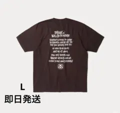 STUSSY WALES BONNER OCEAN SONG TEE BROWN