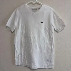 LACOSTE Vネック Tシャツ ホワイト