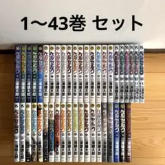 ベルセルク 全巻 セット まとめ売り 1～43巻