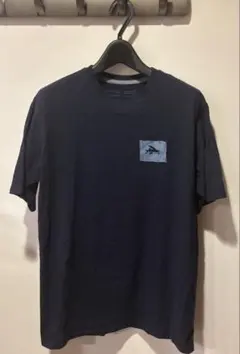 ☆PatagoniaTシャツ フライングフィッシュ　サーフアクティビズム☆