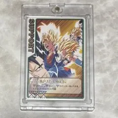 ドラゴンボール データカードダス ロケテ 激レア トランクス(少年期) ドラゴンボールデータカードダス2005年 トランクス少年期 激レア 希少