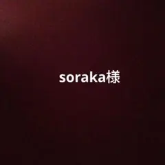 soraka様専用