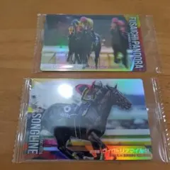 サラブレッドホースコレクション　第3R のカード2枚セットです