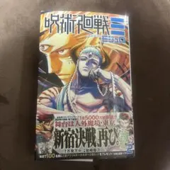 呪術廻戦モジュロ　2巻