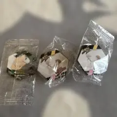 りんごまる様　ヒロアカマグネット3個セット